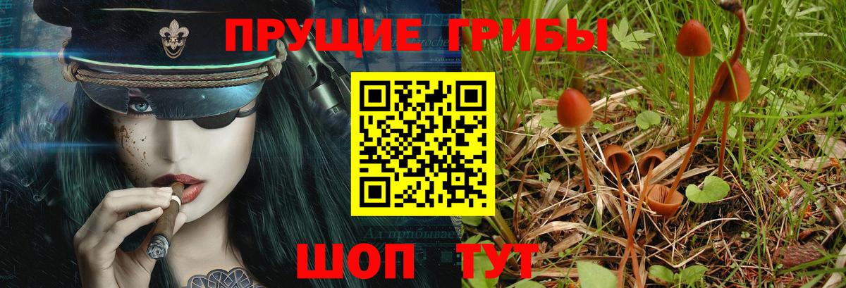 Галлюциногенные грибы ЛСД Кимры