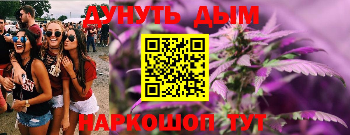 МАРИХУАНА сатива Кимры